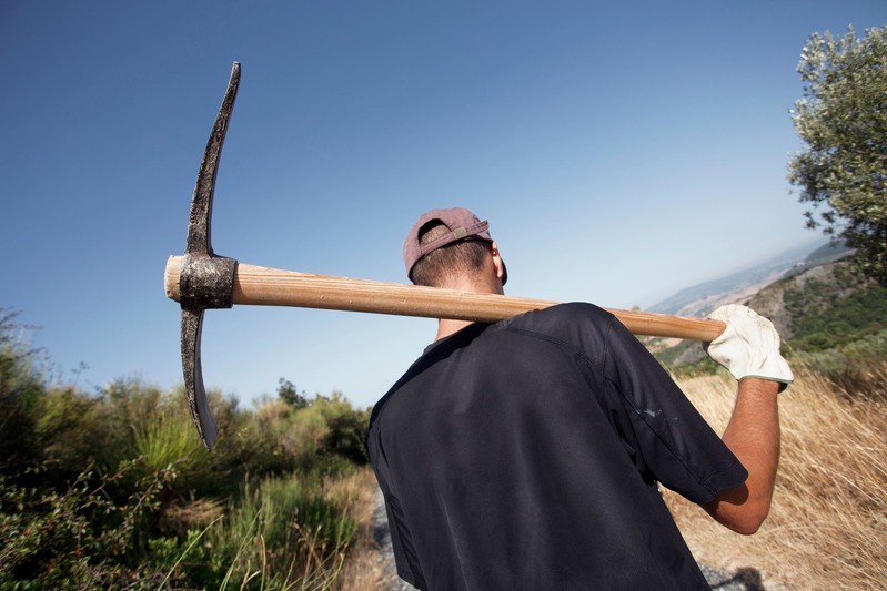 WWOOF ragazzo pronto a lavorare in campagna