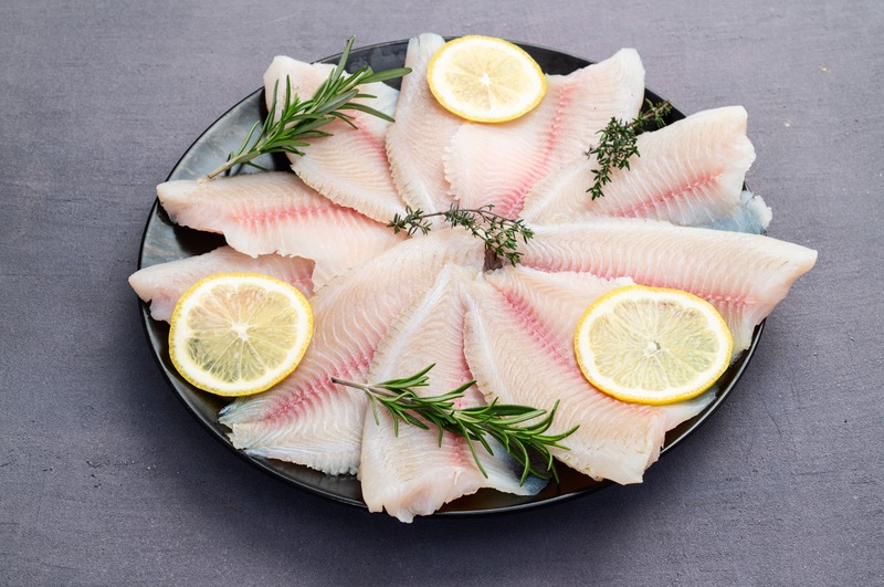 tilapia