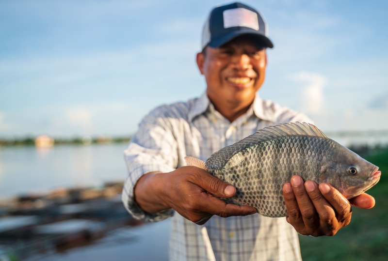 tilapia pescato