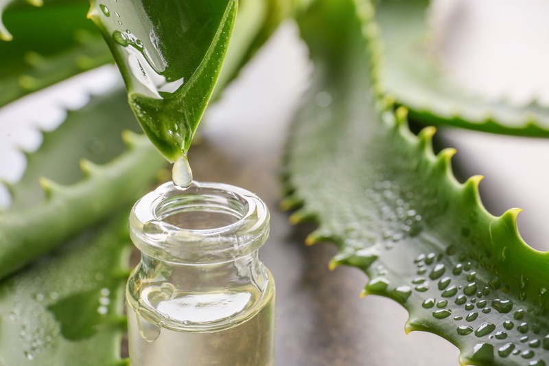 aloe vera in barattolo