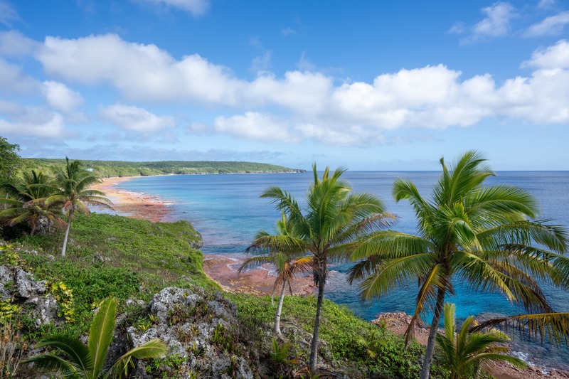 Isola di Niue vista panoramica, palme e spiaggia